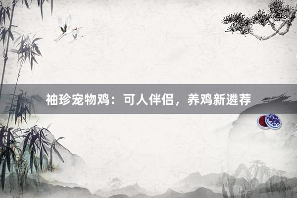 袖珍宠物鸡：可人伴侣，养鸡新遴荐