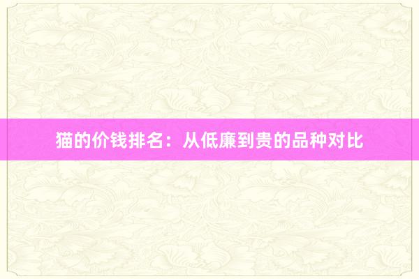 猫的价钱排名:从低廉到贵的品种对比